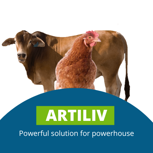 Animal Nutrition and Feed Additives | Truevet